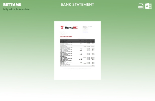 модерен стил Angola Banco BIC извод од банкарски ексел шаблон
